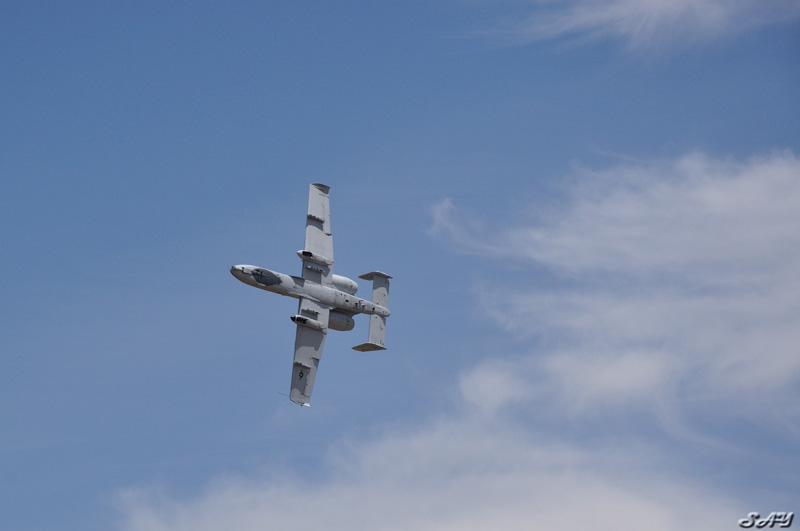 Name:  A-10 Thunderbolt II Warthog 11.jpg
Views: 379
Size:  80.7 KB