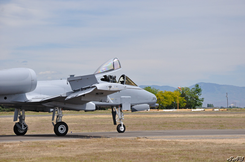 Name:  A-10 Thunderbolt II Warthog 3.jpg
Views: 378
Size:  143.8 KB