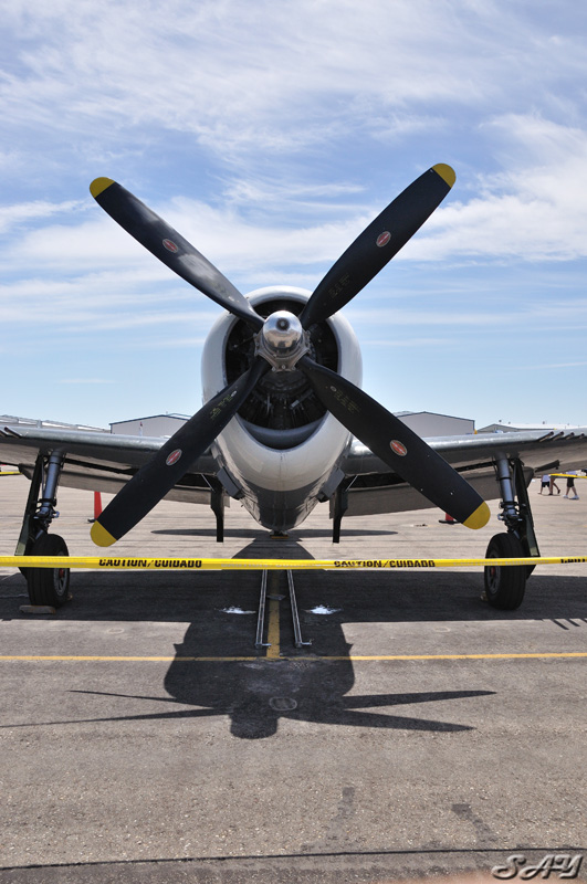 Name:  P-47 Thunderbolt 5.jpg
Views: 338
Size:  179.8 KB