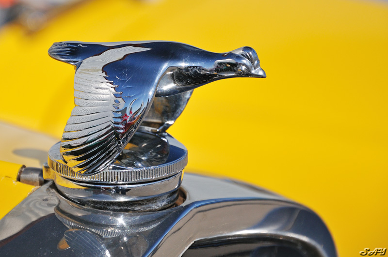 Name:  Hood Ornament 1.jpg
Views: 338
Size:  149.7 KB