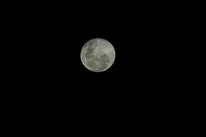 Name:  supermoon-028-as-Smart-Object-1.jpg
Views: 192
Size:  8.1 KB