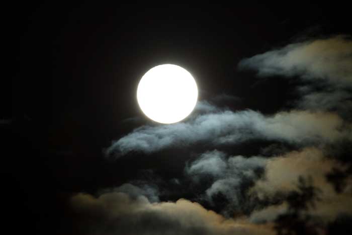 Name:  supermoon-029-as-Smart-Object-1.jpg
Views: 186
Size:  15.3 KB