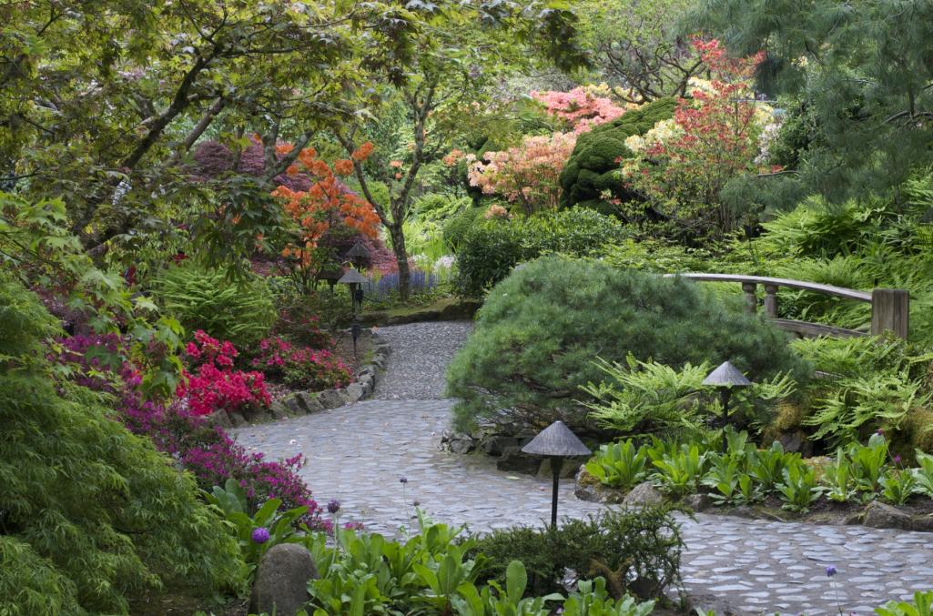 Name:  Butchart Japanese Garden path 035.jpg
Views: 407
Size:  176.7 KB