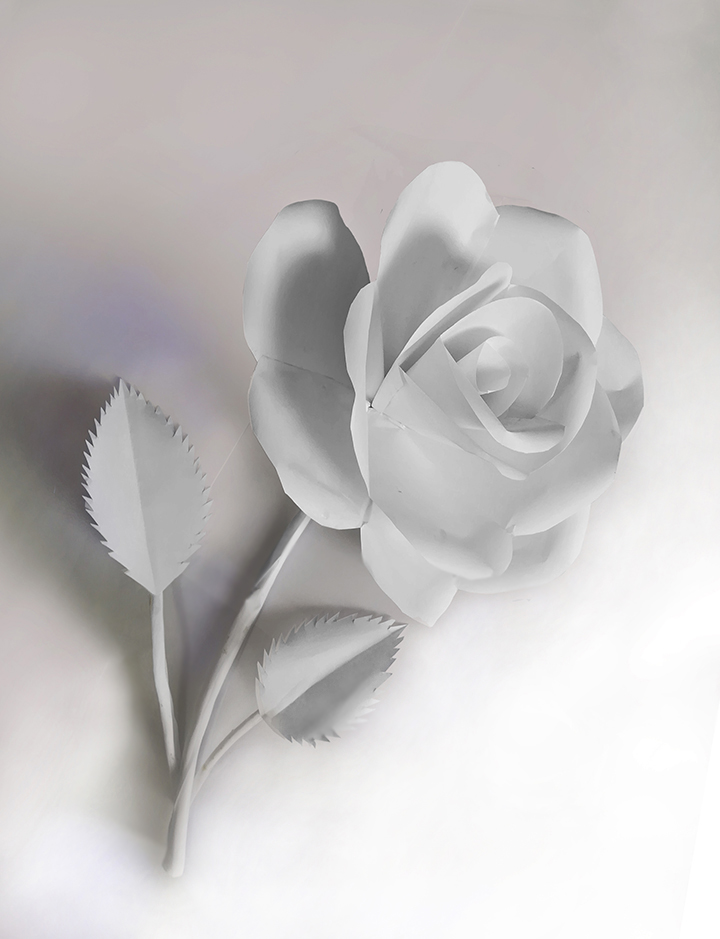 Name:  paper rose.jpg
Views: 383
Size:  251.9 KB