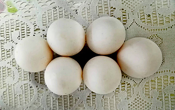 Name:  eggs.jpg
Views: 404
Size:  125.9 KB