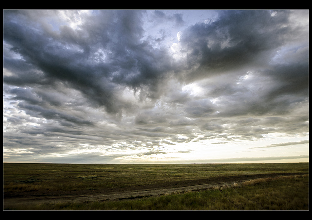 Name:  prarie morning.jpg
Views: 212
Size:  223.2 KB