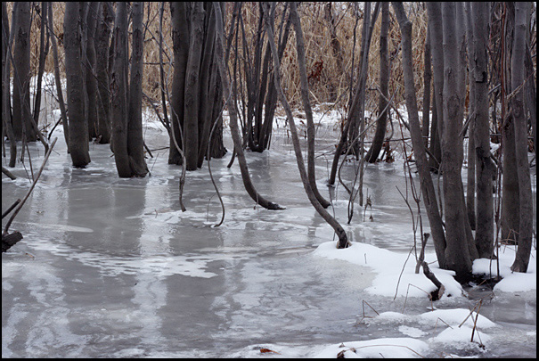 Name:  Frozen Riverbank.jpg
Views: 539
Size:  164.4 KB