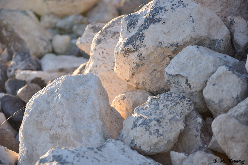 Name:  Rocks 1.jpg
Views: 337
Size:  281.1 KB