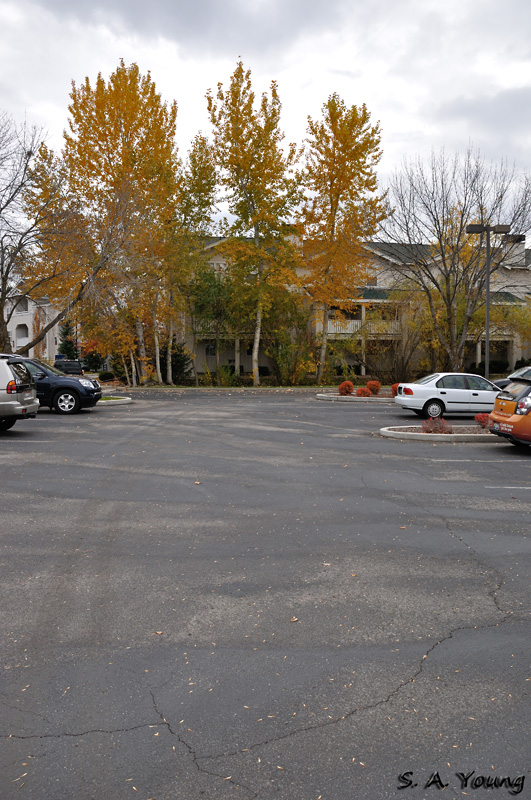 Name:  Parking Lot 1.jpg
Views: 159
Size:  255.2 KB