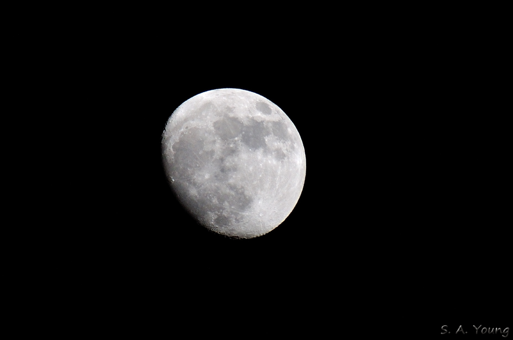 Name:  Moon 1.jpg
Views: 280
Size:  120.0 KB