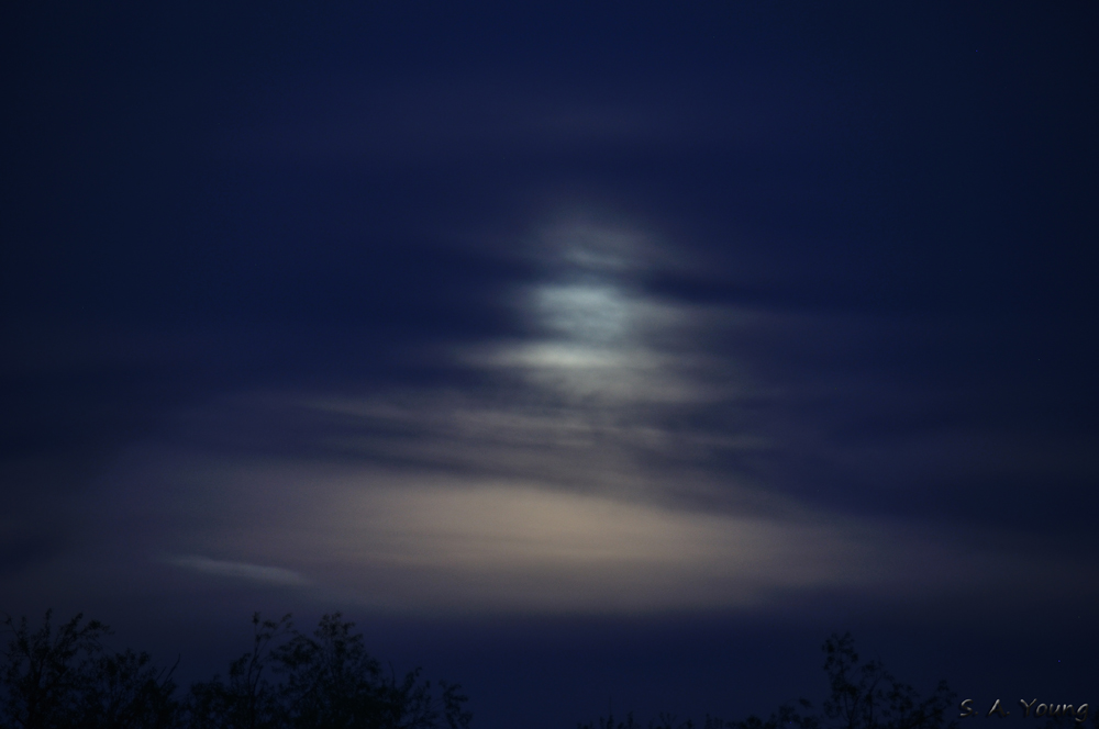 Name:  Mist Moon 2.jpg
Views: 190
Size:  280.1 KB