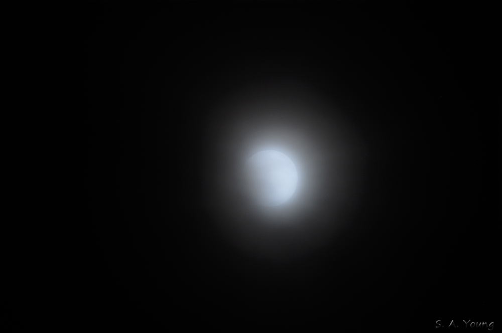 Name:  Mist Moon 3.jpg
Views: 216
Size:  167.9 KB