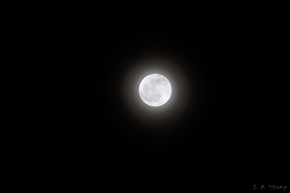 Name:  Mist Moon 1.jpg
Views: 206
Size:  105.7 KB