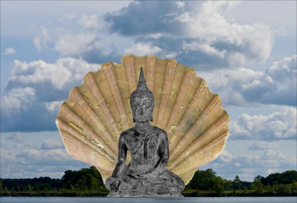 Name:  Buddha,shell,cloud  .jpg
Views: 448
Size:  83.5 KB