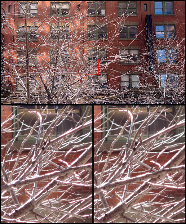 Chromatic aberration example at f/3.5 by Royce Howland