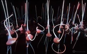 chihuly-MK18041